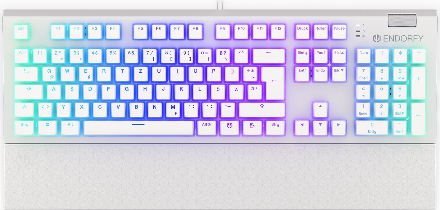 Endorfy Omnis White