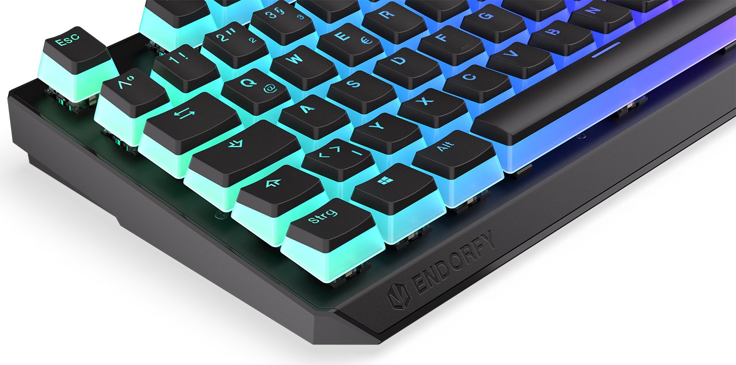 Endorfy Thock Pudding Endorfy Thock Pudding