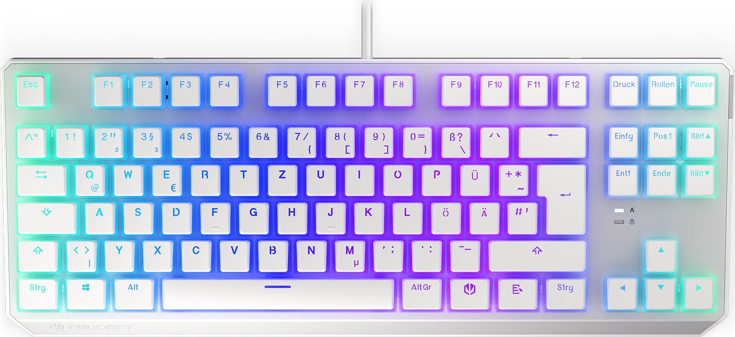Endorfy Thock TKL Pudding Onyx White